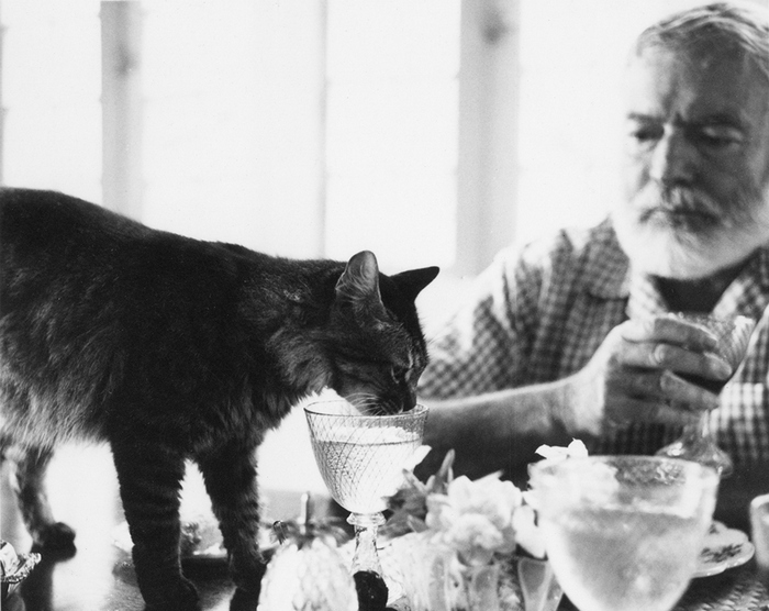 EH8505P Ernest Hemingway at table with his cat Cristobal at Finca Vigia.