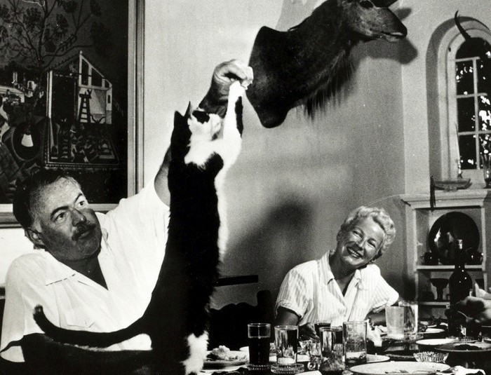 Literature Personalities, pic: circa 1940's, Author Ernest Hemingway watched by his wife Mary, feeds tit bits to the cat at dinner, Ernest Hemingway, (1899-1961) US writer of novels and short stories and Nobel Prize winner, also a keen sportsman, He was prone to a melancholic, self destructive personality (Photo by Popperfoto/Getty Images)