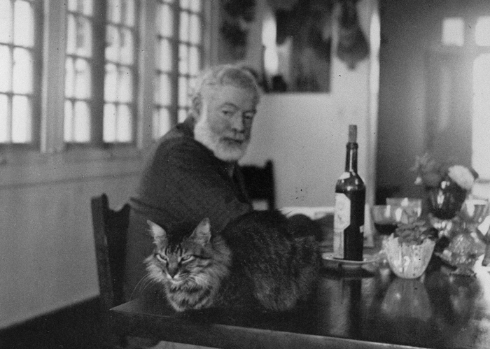 EH3941P Ernest Hemingway looks at his cat sitting near him on the table at the Finca Vigia, Cuba. Photographer unknown in the John F. Kennedy Presidential Library and Museum, Boston.