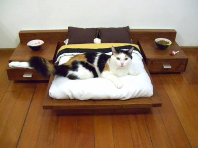 1407612937_cat-furniture-111