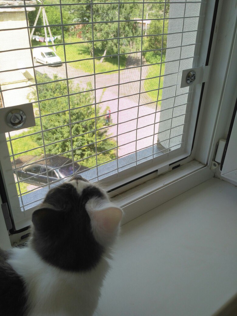 Сетка антикошка на деревянные окна. Клетка антикошка. Ограничитель антикошка на вертикальное проветривание. Сетка антикошка. Сетка на окно для кошек.