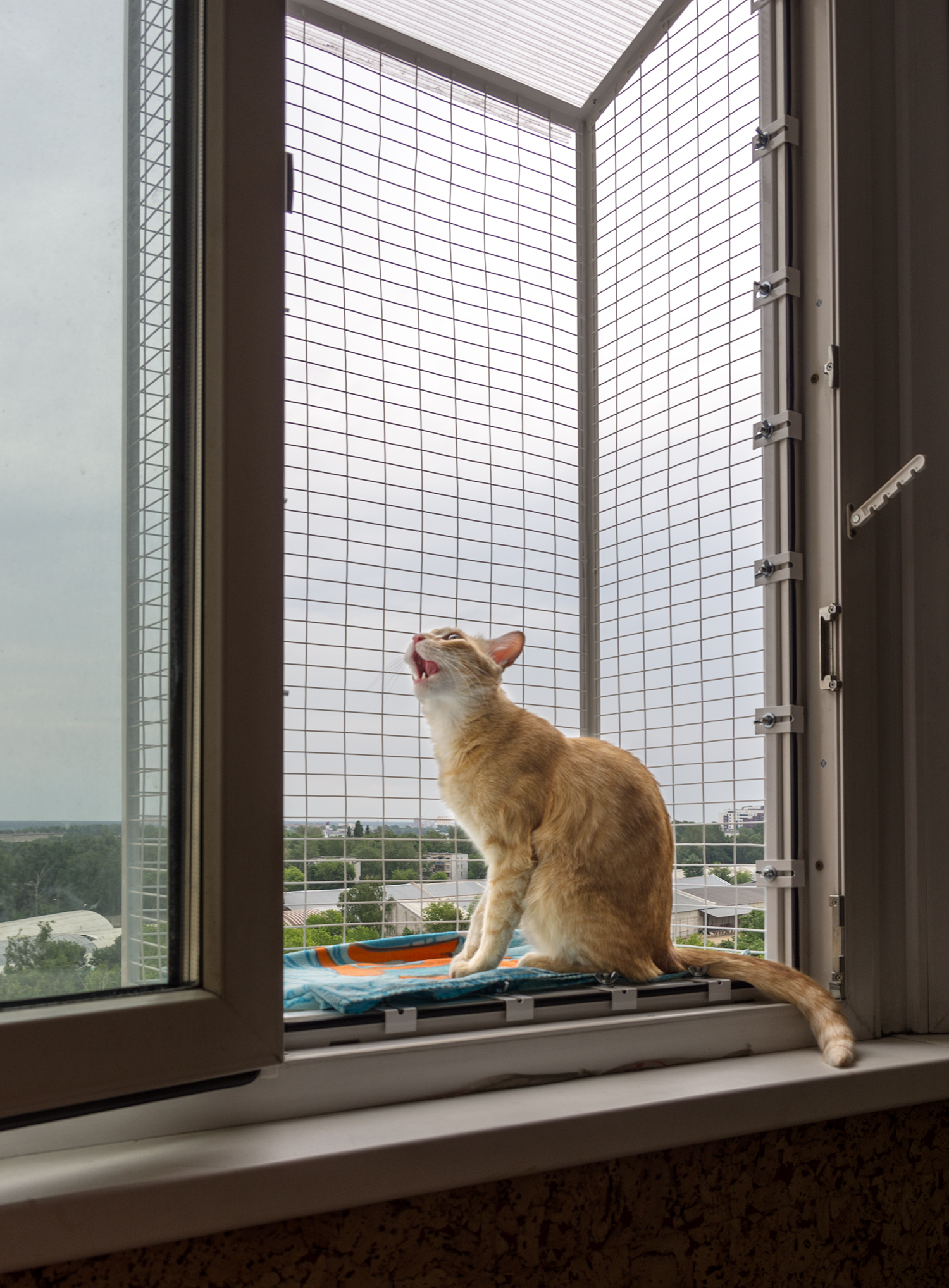 клетка для кота на окно