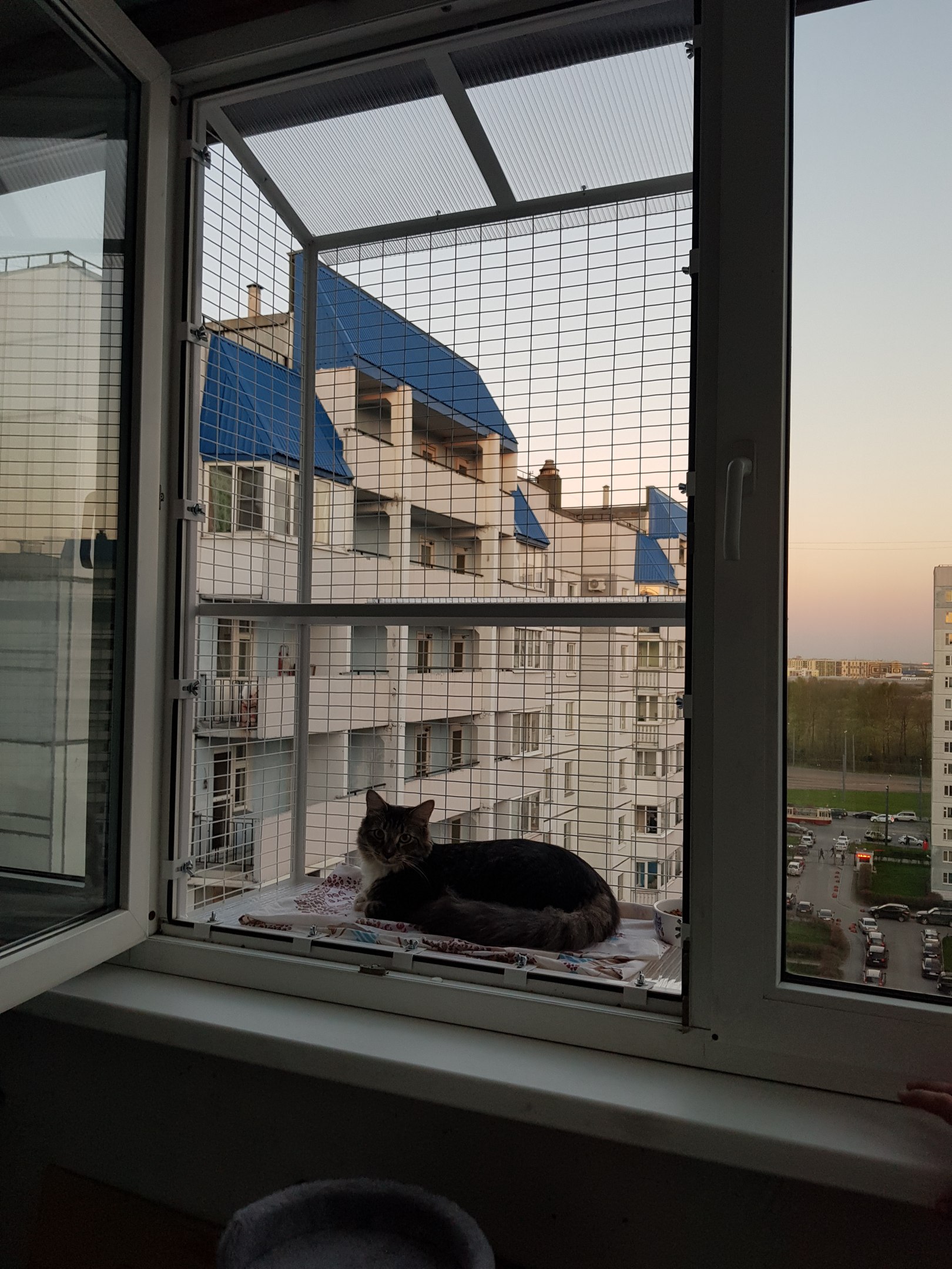 Съёмный кошачий балкон