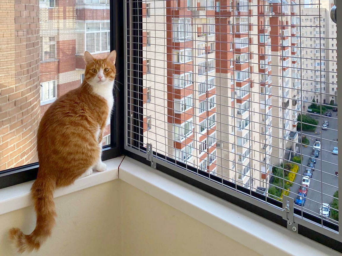 Сетка на балкон для кошек с установкой