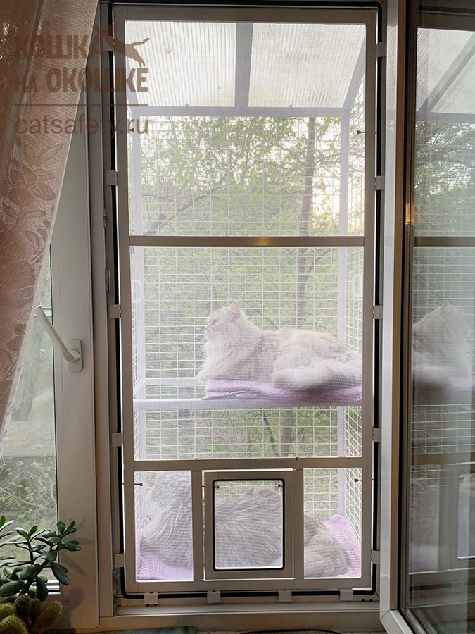 Москитные сетки на пластиковые окна в Санкт-Петербурге. Противомоскитные сетки на окна.