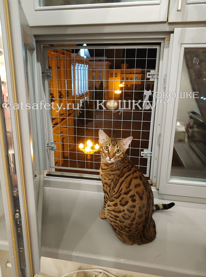 Решётка-на-деревянное-окно-для-безопасности-кошки-антикошка