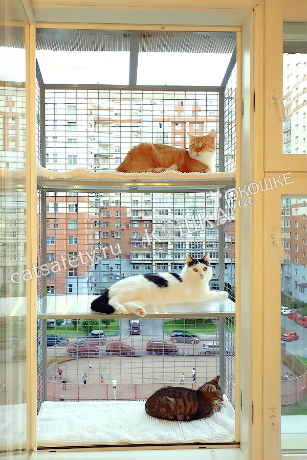 Стационарный-балкончик-на-окно-для-кошки-клетка-с-полками