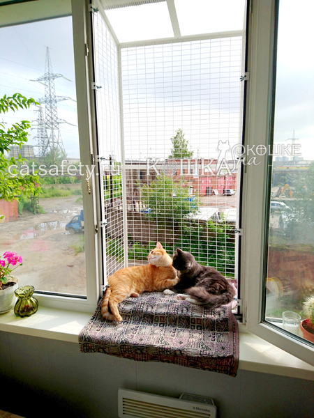 вольер-выгул-на-окно-кошачий-балкончик