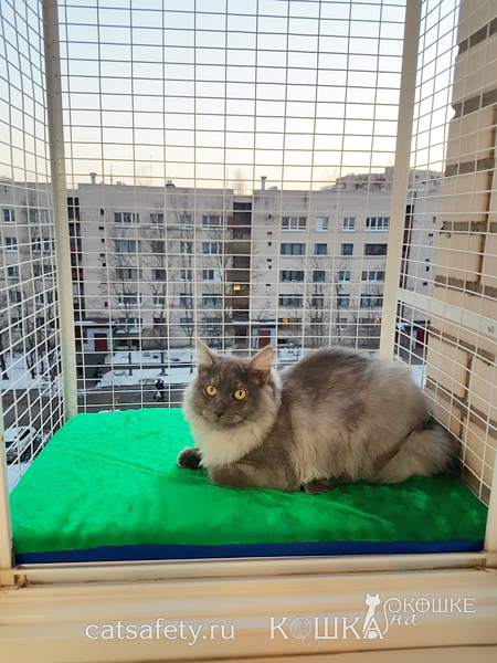 кошачий балкон