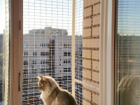Вольер на окно для кота