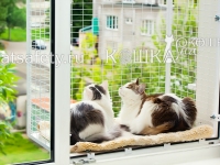 съёмный балкончик кошка ан окошке